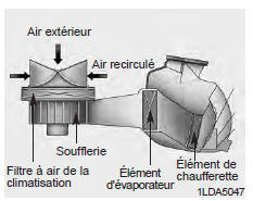 Kia Carens. Fitre à air de la climatisation