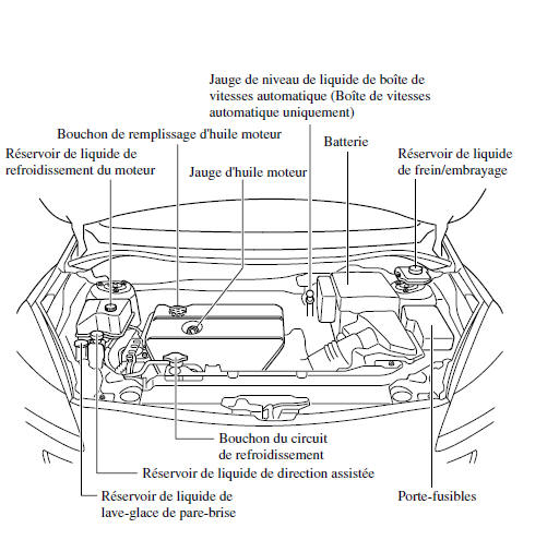 Mazda 5. Vue générale du compartiment moteur 